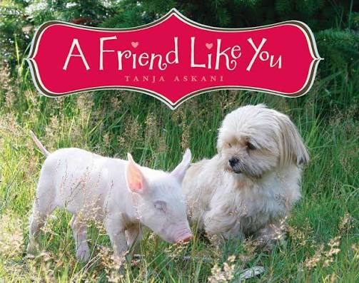 A Friend Like You (Hardcover) (U)