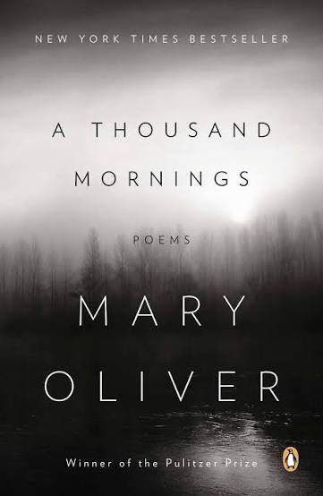 A Thousand Mornings (N)
