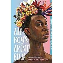 All Boys Aren't Blue (N)