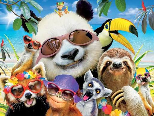 Animal Selfies Puzzle (U)