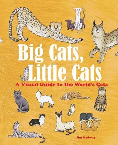 Big Cats, Little Cats (N)