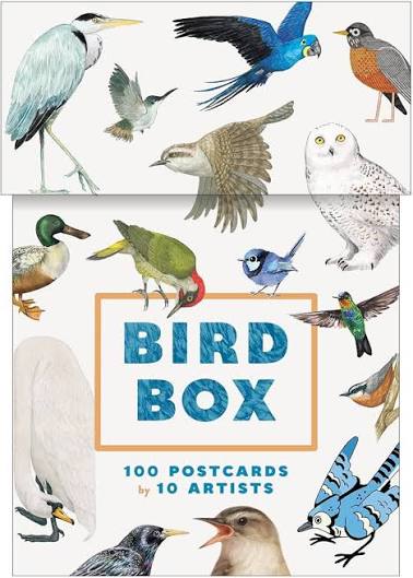 Bird Box (N)