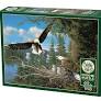 Cobble Hill Bald Eagle Puzzle
