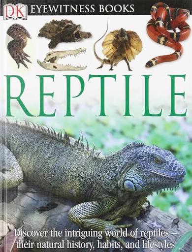 DK Eye Witness Reptiles (U)