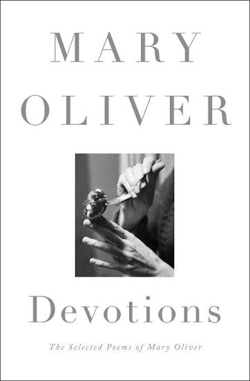 Devotions (N)