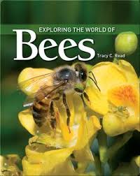 Exploring The World Of Bees (U)