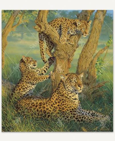 Family Outing Leopard Puzzle (N)