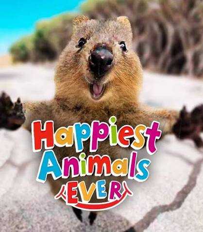 Happiest Animals Ever (U)