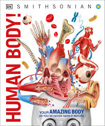 Human Body (Hardcover) (U)