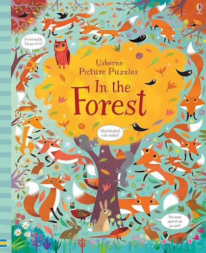 Usborne Picture Puzzle Books (U)