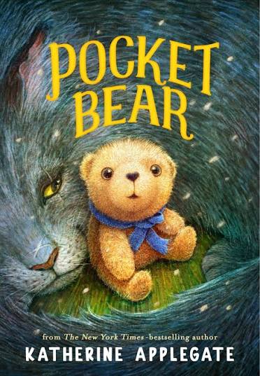 Pocket Bear (N)