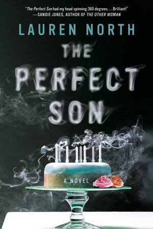 The Perfect Son (U)