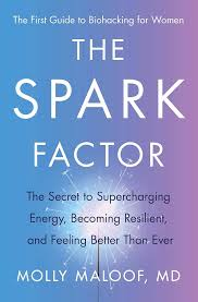 The Spark Factor (Hardcover)(U)