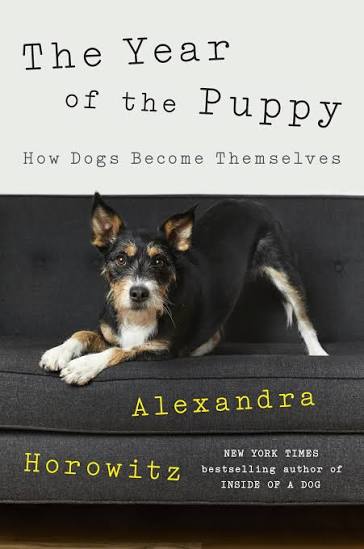 The year of the puppy (U)