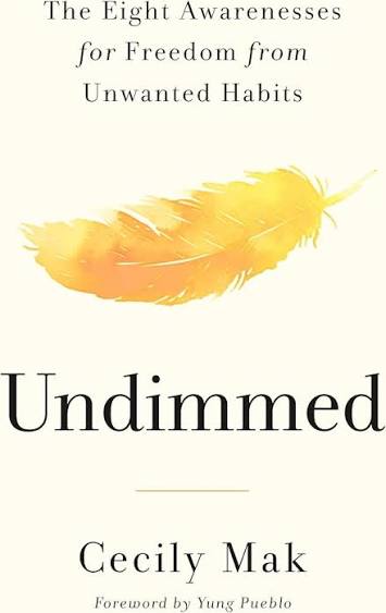 Undimmed (Hardcover)(N)