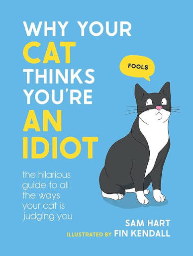 Why Your Cat Thinks You're An Idiot (U)