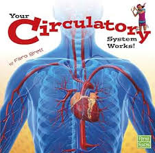 Your Circulatory System Works! (U)