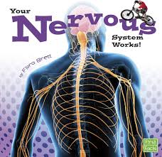 Your Nervous System Works! (U)