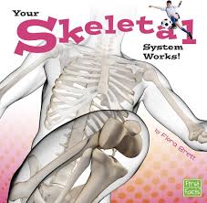 Your Skeletal System Works! (U)