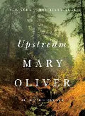 Upstream (N)